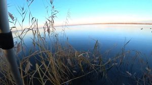Осенняя охота на уток с чучелами видео //Autumn duck hunting with plastic ducks.