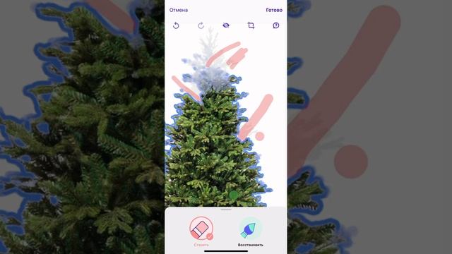 Обзор приложения PhotoRoom смотреть онлайн
