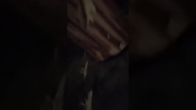 Двёрки (360p).mp4 смотреть онлайн