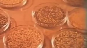 Сборка и обработка пчелиной пыльцы СССР