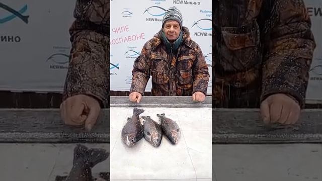 гость водоёма смотреть онлайн