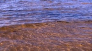 КАК ЖАЛЬ... (WHAT A PITY) Сергей Литвяков. Премьера клипа.