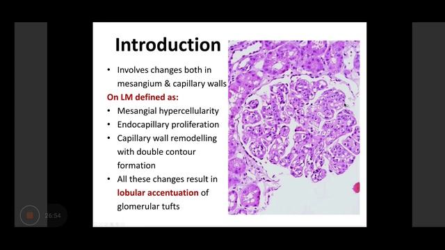 GLOMERULONEPHRITIS Types MCD FSGS MGN / Urinary system / PATHOLOGY смотреть онлайн