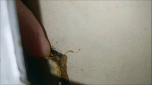 Лайфхак: Горячая замена проводников (подводящий подводов) динамика на примере 75гдн, без ремонта