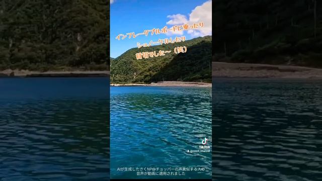 海水浴場貸し切ってきた。ボード楽しい！#貸切　#海水浴場　#インフレータブルボード смотреть онлайн