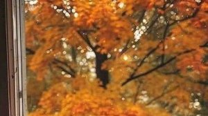 История для души - Измена в нашем доме....