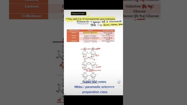 Super 💯 notes смотреть онлайн