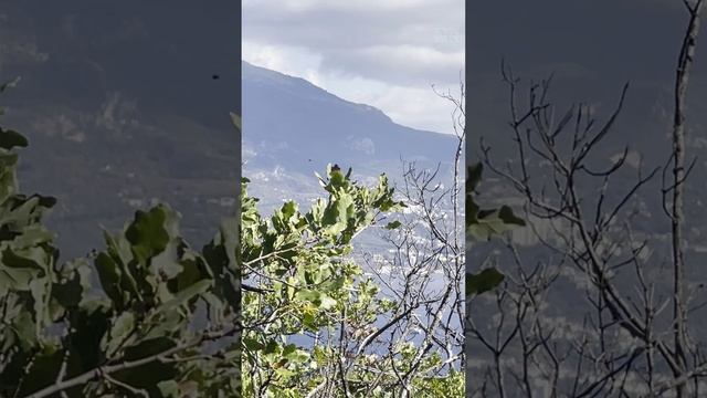 Вид на Ялту и гора Медведь. Крым. ЮБК. Гаспра. 25.10.2024 г. Крым. ЮБК. Гаспра. Ялта. смотреть онлайн