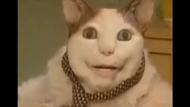 Бу ! Испугался ? Не бойся ,я друг ! Мем смотреть онлайн