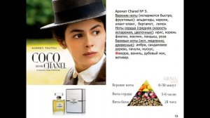 Дубынин В. А. - Физиология сенсорных и двигательных систем - 7. Обонятельная и сенсорная системы