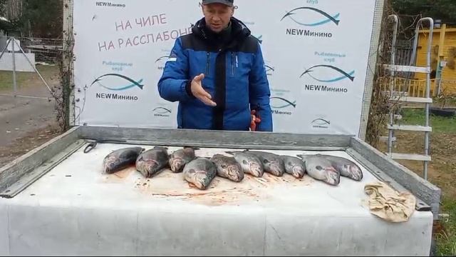 разговор с рыбаком смотреть онлайн