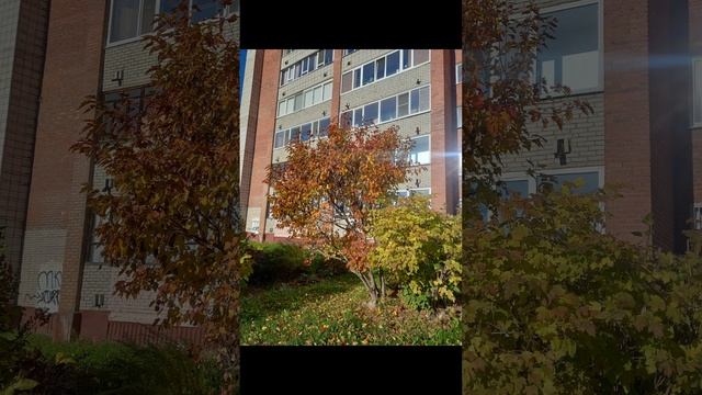 Просто Саша