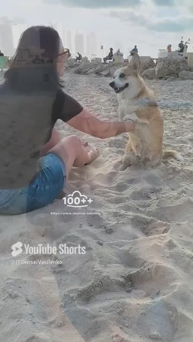 Не боги горшки обжигают - начните карьеру в IT-индустрии! https://www.itsensei.training смотреть онлайн