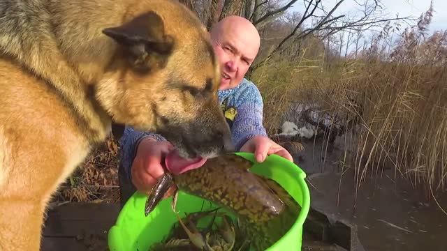 Как поймать диких раков и налима на Селигере поздней осенью.