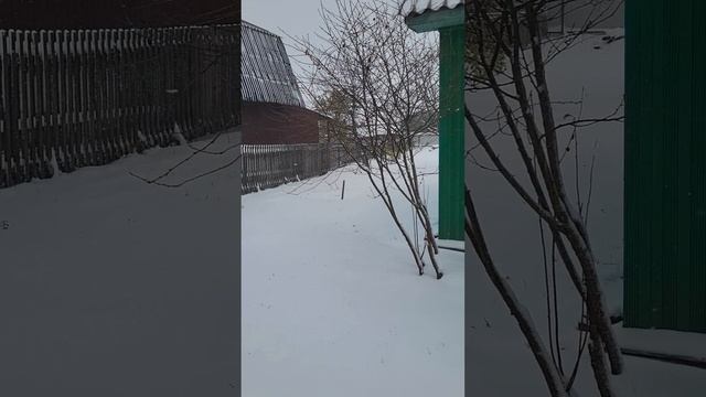 На улице снег, а в теплице урожай! смотреть онлайн