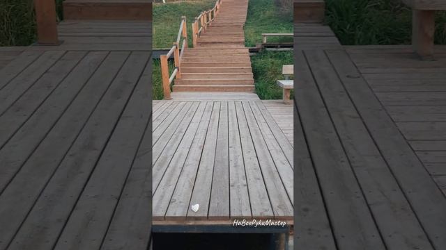 Наша набережная 21 октября.mp4