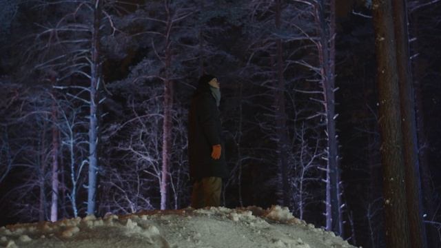 Razdolye forest park | Moscow смотреть онлайн