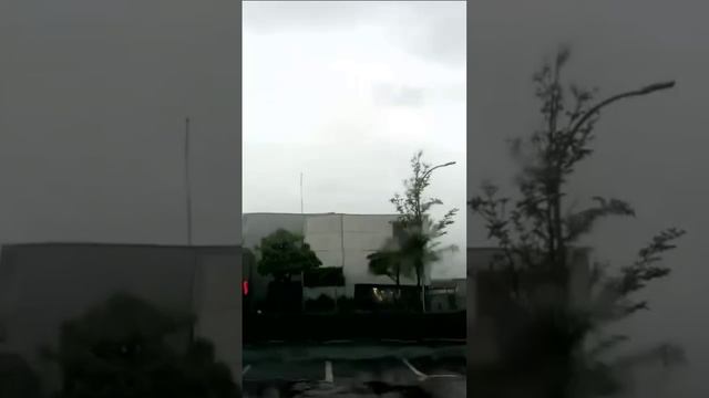 Дождь. Дмитрий Шлапак смотреть онлайн