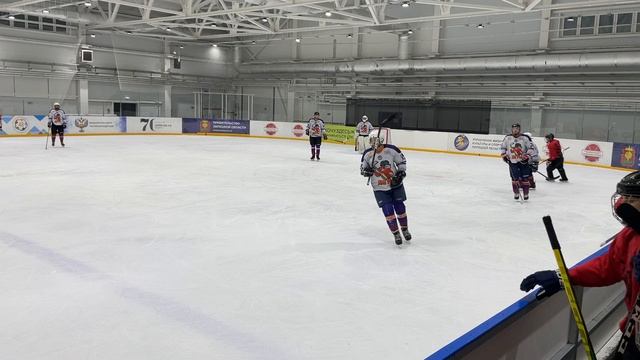 ПС - Лигры 03.11.24 - 2 период