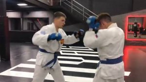 Рукопашный бой _ Ударная техника руками