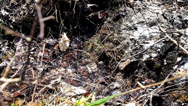 Нижний родник у перевала Горуча смотреть онлайн