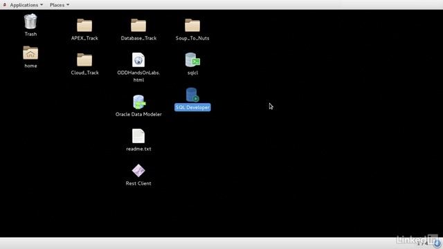 3.1_Introduction to Oracle SQL Developer - 3. Using Oracle SQL Developer смотреть онлайн