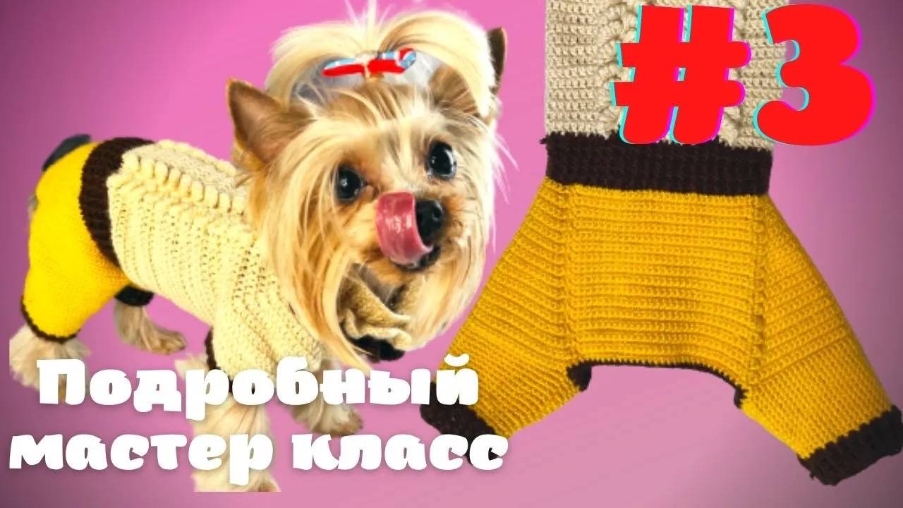 Комбинезон для собаки Йорка крючком (штаны) 3 часть смотреть онлайн