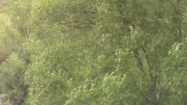 silk way 2018 старт су7 смотреть онлайн