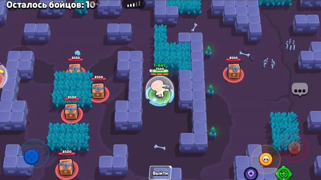 новый мем:бешенный шарфик