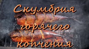 Скумбрия Горячего Копчения В Коптильне Рецепт Маринада Время Копчения