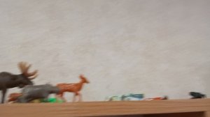 моя коллекция kinder натунс