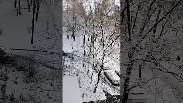❄️❄️❄️04.11.2024 год. Москва.❄️❄️❄️ С Днём народного Единства, россияне!!!🇷🇺 смотреть онлайн