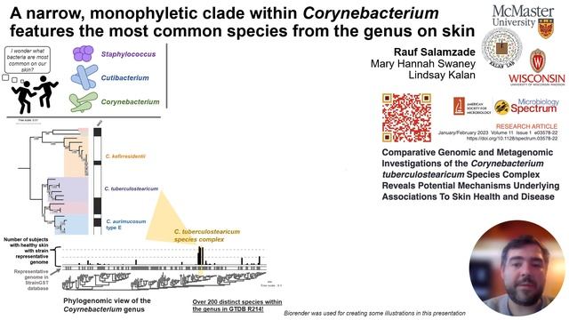 Rauf Salamzade - Investigations of the Corynebacterium tuberculostearicum species... | S03 MVIF.21 смотреть онлайн