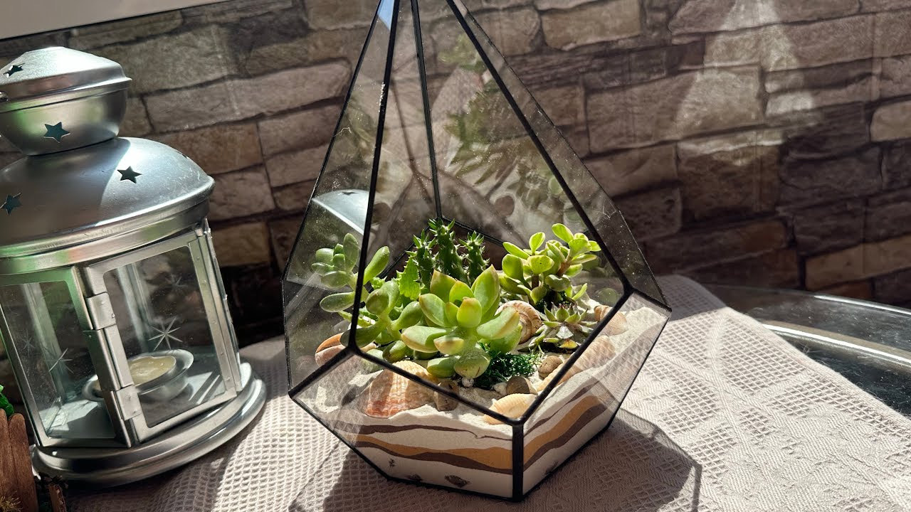 Флорариум с суккулентами своими руками смотреть онлайн
