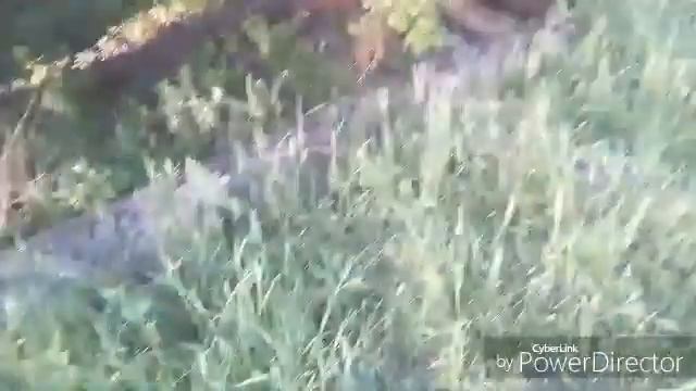 VLOG... Вот Какие поезда. На ЧАС. Зона ОТЧУЖДЕНИЯ. Припять. смотреть онлайн