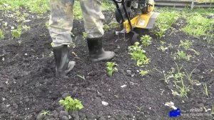 Мотокультиватор Texas прополка окучивание картофеля