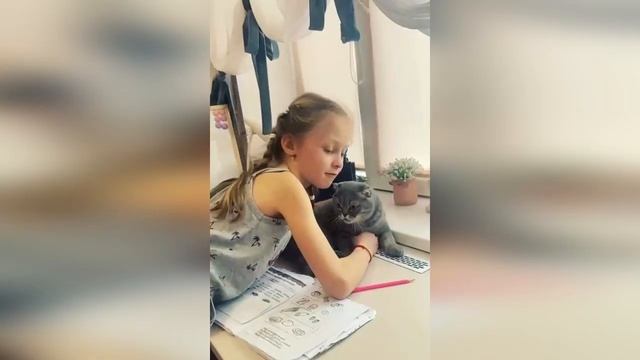 Домашние питомцы