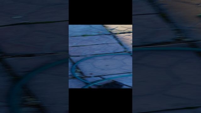 Закрываю сезон. Шланги для полива - всё.. смотреть онлайн