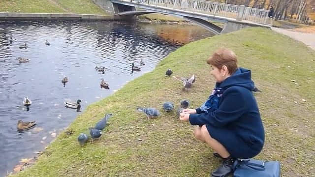 Таврический сад смотреть онлайн