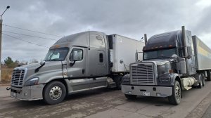 Freightliner Classic 132 - Freightliner Cascadia) Detroit Diesel 14 L