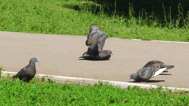 2020 Мгновения 9 Улыбнитесь! смотреть онлайн