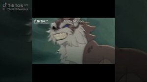 коты воители из тик-тока