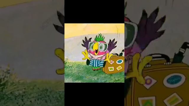 попугай кеша попал не туда