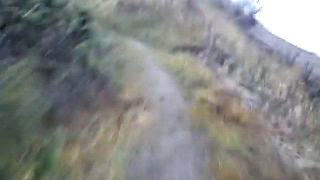 Långpass genom Sandbergen смотреть онлайн
