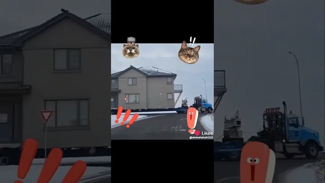 1000013280.mp4 смотреть онлайн