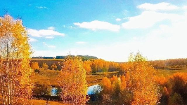 929.🎼. «Осени Каприз» - Мухтар Хордаев , Евгений Росс смотреть онлайн