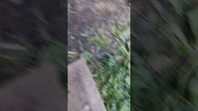 Раскоксовка K24Z3