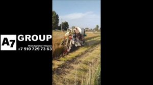 Теребилка для льна с очесом семян С-1.5 Китай #лен #уборка #комбайн