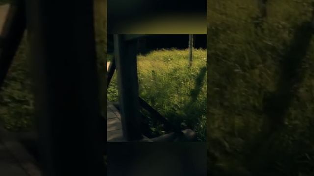 Мать и сын.mp4