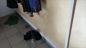 20241102_123803 после душа